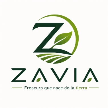 Zavia